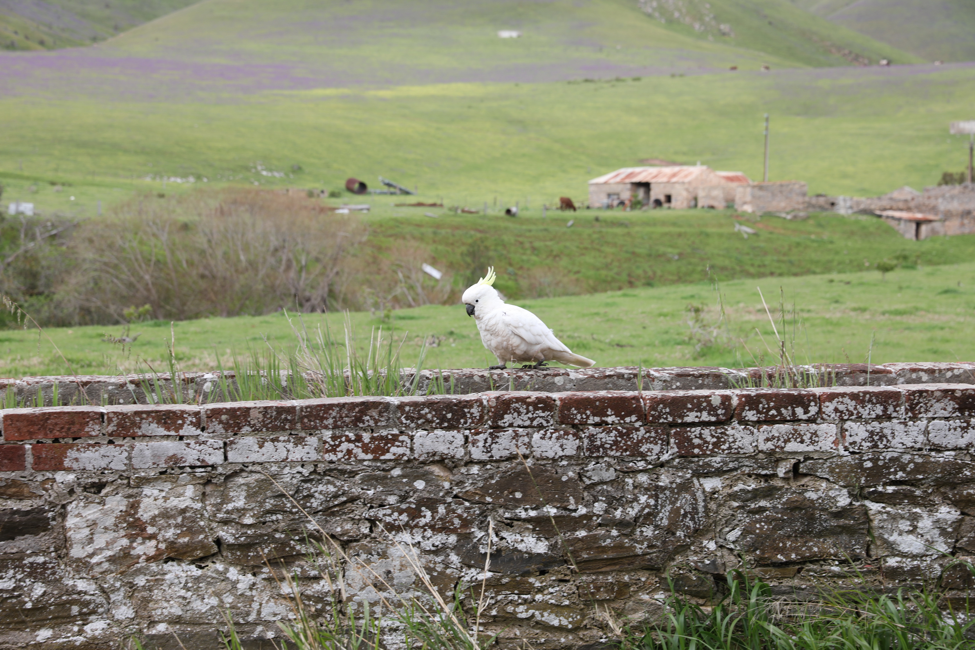 2019 09 28 14 49 52 Canon EOS 5D Mark IV 0026